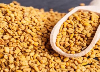 मेथीचे पाणी प्यायचे ‘हे’ आहेत जबरदस्त फायदे, एकदा वाचाच