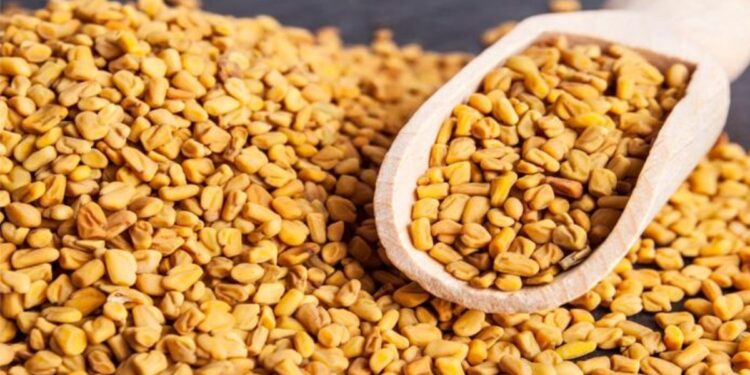 मेथीचे पाणी प्यायचे ‘हे’ आहेत जबरदस्त फायदे, एकदा वाचाच