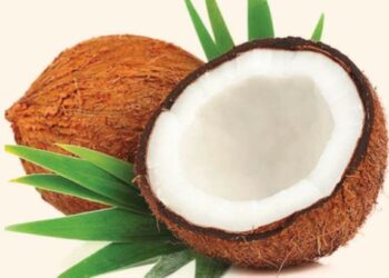 कच्च्या नारळाच्या सेवनाने शरीराला मिळतील हे जबरदस्त फायदे ; वाचून चकित व्हाल!
