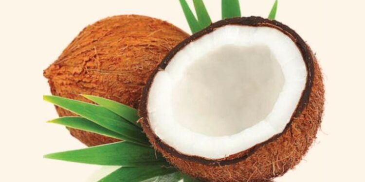 कच्च्या नारळाच्या सेवनाने शरीराला मिळतील हे जबरदस्त फायदे ; वाचून चकित व्हाल!