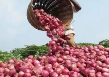 कांदा उत्पादक शेतकऱ्यांसाठी सर्वात मोठी बातमी ; आता केंद्र सरकारने घेतला हा मोठा निर्णय