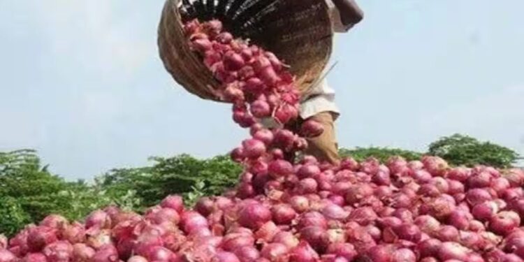 कांदा उत्पादक शेतकऱ्यांसाठी सर्वात मोठी बातमी ; आता केंद्र सरकारने घेतला हा मोठा निर्णय