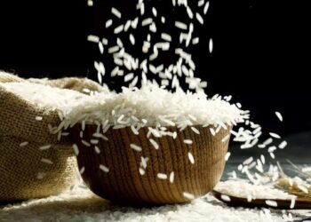 सर्वसामान्यांसाठी खूशखबर ; तांदळाबाबत सरकारने घेतला हा निर्णय