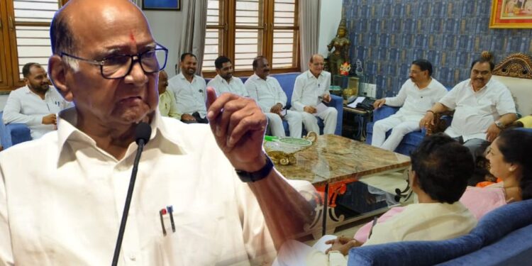 ठरलं! शरद पवारांची ‘या’ दिवशी होणार जळगावात जाहीर सभा