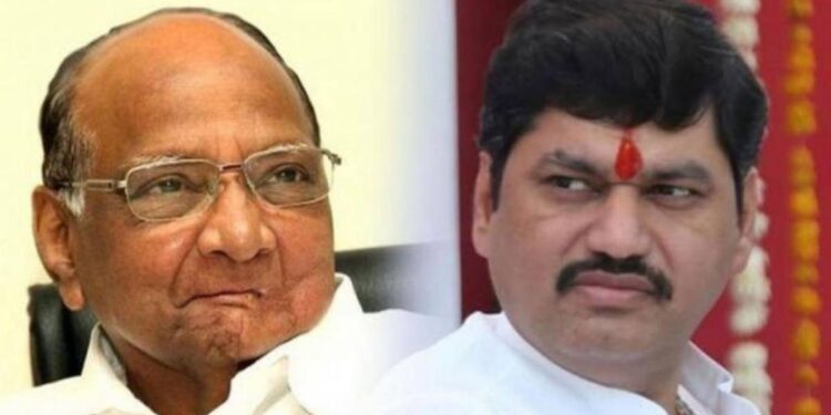 शरद पवारांच्या बीडमधील एन्ट्रीआधीच धनंजय मुंडेंना जोरचा झटका ; काय आहे वाचा