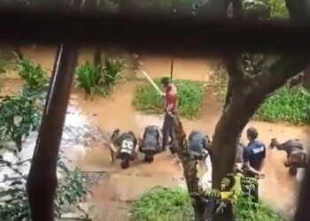 हे कोणत्या प्रकारचे NCC प्रशिक्षण आहे? कॅडेट्सना मारहाणीचा VIDEO पाहून तुम्हीही संतापाला