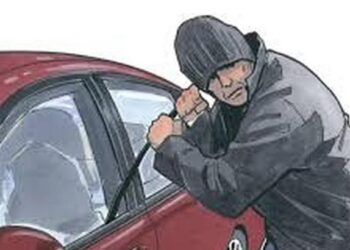 चोरट्यांचा धुमाकूळ । जळगावातील शिक्षकाची महागडी कार लांबविली