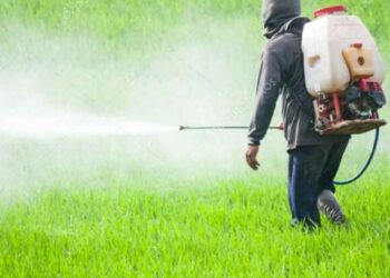 शेतकऱ्यांनो फवारणी करताना काळजी घ्या ; यावल तालुक्यात शेतकऱ्याचा मृत्यू