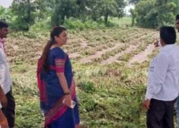 मुक्ताईनगरात पुराच्या पाण्यात पिके गेली वाहून ; ॲड. रोहिणी खडसेंची पंचनामा करण्याची मागणी
