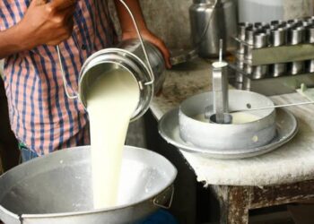 दूध भेसळीविरोधात जळगाव जिल्ह्यात धडक मोहीम