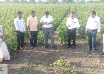 कृषी विभागाच्या योजनांचा लाभार्थ्यांना मिळाला लाभ ! कृषी सहसंचालक लाथार्थ्याच्या भेटीसाठी थेट शेतशिवारात