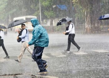 पुढील ४८ तासांत राज्यातील बहुतांश मुसळधार पाऊस ; तुमच्या जिल्ह्यातील स्थिती जाणून घ्या