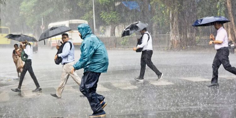 पुढील ४८ तासांत राज्यातील बहुतांश मुसळधार पाऊस ; तुमच्या जिल्ह्यातील स्थिती जाणून घ्या