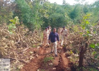 अवैध वृक्षतोड करणाऱ्यांवर कठोर कारवाई करणार – सहायक वनसंरक्षक