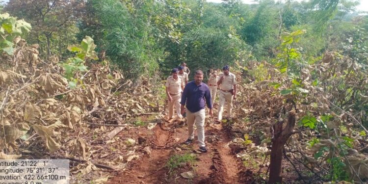 अवैध वृक्षतोड करणाऱ्यांवर कठोर कारवाई करणार – सहायक वनसंरक्षक