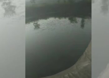 काळीज पिळवटून टाकणारी घटना ! शेततळ्यात बुडून बहिण-भावाचा मृत्यू