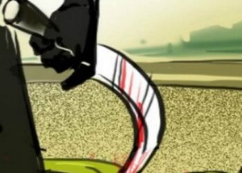 अरे बापरे! दारूच्या नशेत त्याने वृध्द महिलेच्या डोक्यात घातला कोयता