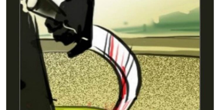 अरे बापरे! दारूच्या नशेत त्याने वृध्द महिलेच्या डोक्यात घातला कोयता