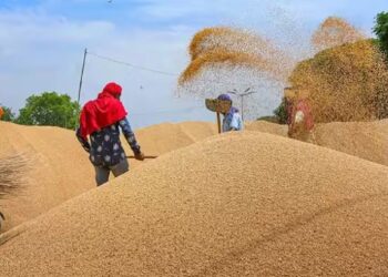 सणासुदीच्या तोंडावर गहू आणि साखरेचे भाव वाढले, आता सरकारने उचलले हे पाऊल