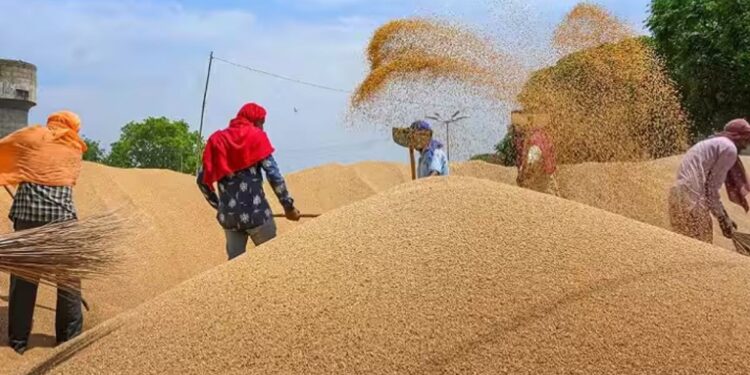 सणासुदीच्या तोंडावर गहू आणि साखरेचे भाव वाढले, आता सरकारने उचलले हे पाऊल