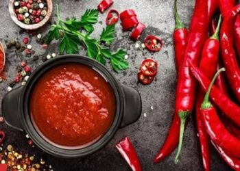 तुम्हालाही मसालेदार जेवणाची आवड आहे का? आधी वाचा ही पोस्ट