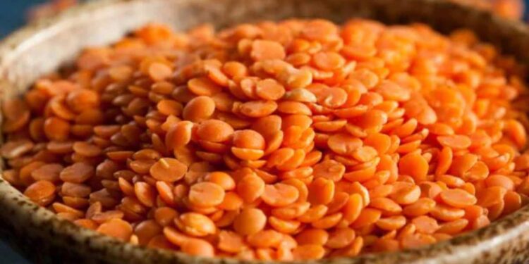 या 5 कारणांसाठी दररोज मसूर डाळ खावी ; काय आहे फायदे वाचा