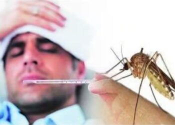 जिल्ह्यातील डेंग्यू साथीवर नियंत्रण मिळविण्यासाठी आरोग्य विभागाने शर्तीचे प्रयत्न करावेत