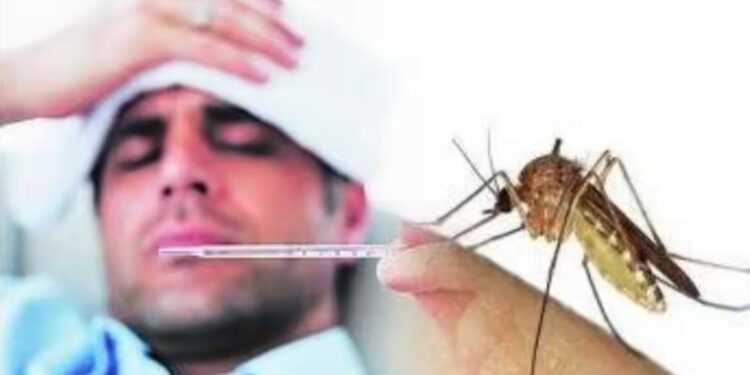 जिल्ह्यातील डेंग्यू साथीवर नियंत्रण मिळविण्यासाठी आरोग्य विभागाने शर्तीचे प्रयत्न करावेत