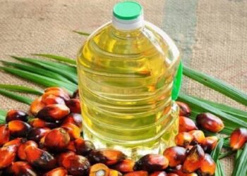 आंतरराष्ट्रीय बाजारात तेलाच्या दरात घसरण ; हे आहेत कारण?