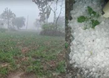 अवकाळीचा फटका बसलेल्या शेतकऱ्यांना दिलासा देण्यासाठी सरकारकडून हालचालींना वेग