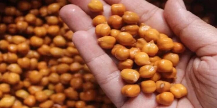 भिजवलेले हरभरे रिकाम्या पोटी खा, शरीराच्या या प्रमुख समस्या दूर होतील