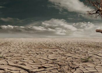 जळगाव जिल्ह्यातील १४ तालुक्यातील ६७ महसूली मंडळामध्ये दुष्काळसदृश्य परिस्थिती जाहीर