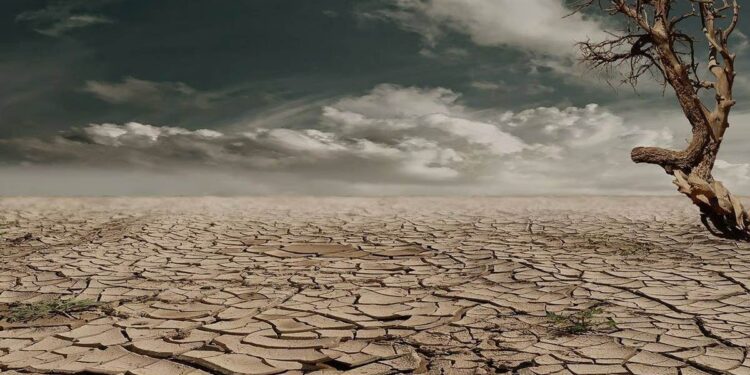 जळगाव जिल्ह्यातील १४ तालुक्यातील ६७ महसूली मंडळामध्ये दुष्काळसदृश्य परिस्थिती जाहीर