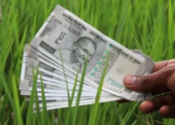 जळगाव जिल्ह्यातील ‘त्या’ 11 हजार शेतकऱ्यांना नुकसान भरपाई मिळण्याचा मार्ग मोकळा