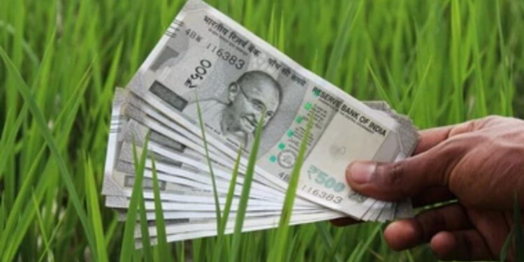 जळगाव जिल्ह्यातील ‘त्या’ 11 हजार शेतकऱ्यांना नुकसान भरपाई मिळण्याचा मार्ग मोकळा