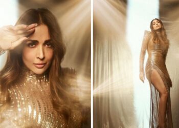 मलायका अरोराचा हॉट लूक पाहून चाहते घायाळ! एकदा फोटो पहाच