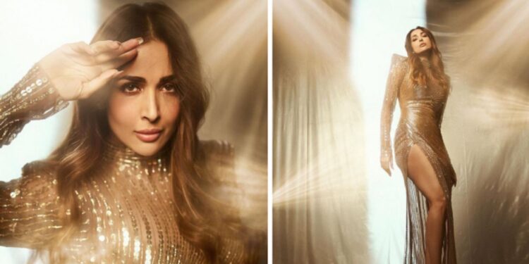 मलायका अरोराचा हॉट लूक पाहून चाहते घायाळ! एकदा फोटो पहाच