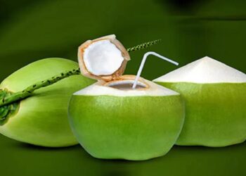 थंडीत नारळ पाणी प्यायल्याने ‘या’ समस्यांपासून मिळेल सुटका