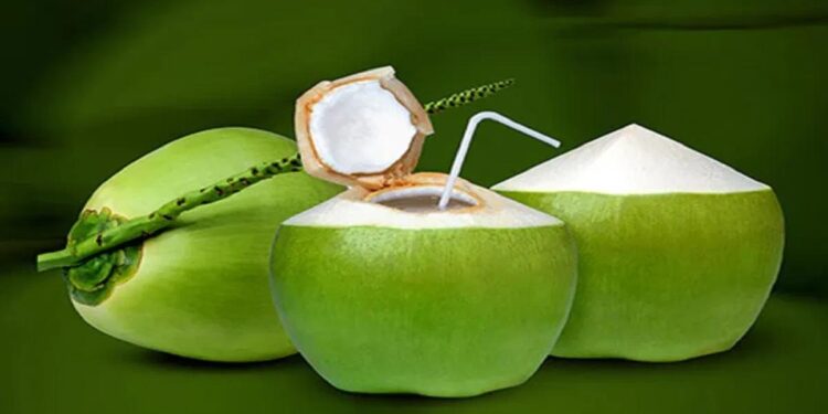 थंडीत नारळ पाणी प्यायल्याने ‘या’ समस्यांपासून मिळेल सुटका