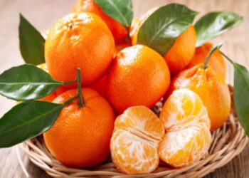 रिकाम्या पोटी संत्री खाणाऱ्यांनो सावधान! होऊ शकतात हे दुष्परिणाम