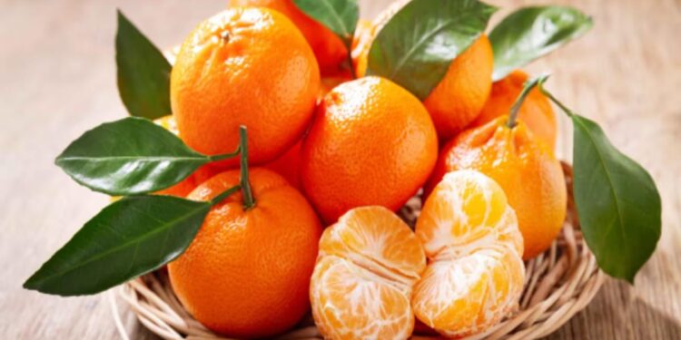 रिकाम्या पोटी संत्री खाणाऱ्यांनो सावधान! होऊ शकतात हे दुष्परिणाम