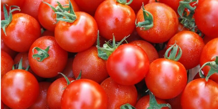टोमॅटो खाण्याचे हे आहेत चकित करणारे फायदे