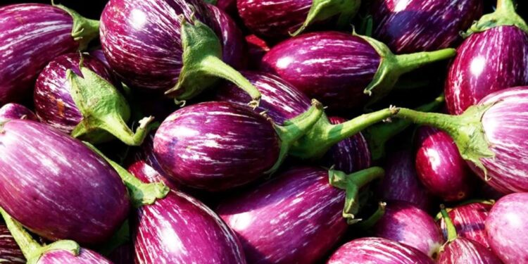 या 5 आजारांनी त्रस्त असलेल्या रुग्णांनी वांगी खाणे टाळावे, जाणून घ्या समस्या