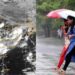 देशातील या राज्यात अवकाळी पाऊस धुमाकूळ घालणार ; महाराष्ट्रात कसे राहणार हवामान?