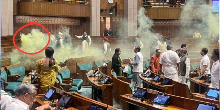 संसदेत धुमश्चक्री करणाऱ्यांना काय शिक्षा होणार? जाणून घ्या