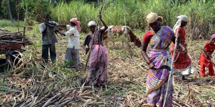 ऊसतोड कामगारांच्या मुला-मुलींसाठी जिल्ह्यात सुरू होणार शासकीय वसतिगृह!