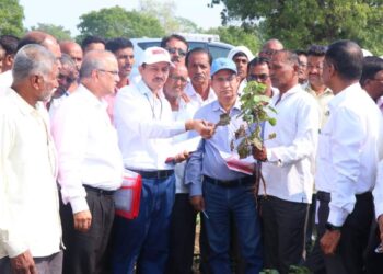 केंद्रीय पथकाकडून चाळीसगाव मधील दुष्काळाची पाहणी ; कापूस व केळी पीक शेतकऱ्यांनी मांडली व्यथा