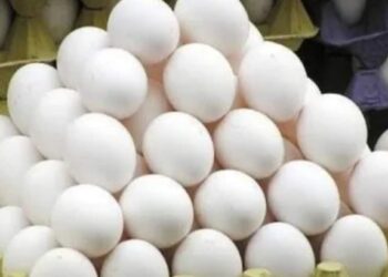 शालेय पोषण आहारातून अंडी गायब होणार? भाजप नेत्याचे मुख्यमंत्र्यांना पत्र