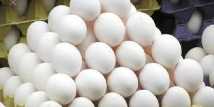 शालेय पोषण आहारातून अंडी गायब होणार? भाजप नेत्याचे मुख्यमंत्र्यांना पत्र