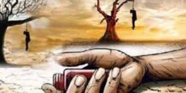 पंधरा महिन्यांत २९ शेतकऱ्यांनी जीवनयात्रा संपविली ; जळगाव जिल्ह्यातील या तालुक्यातील घटना